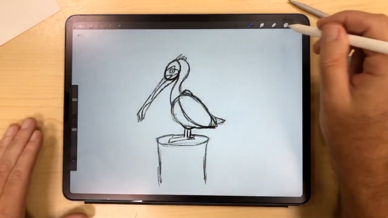 drawing_of_a_pelican